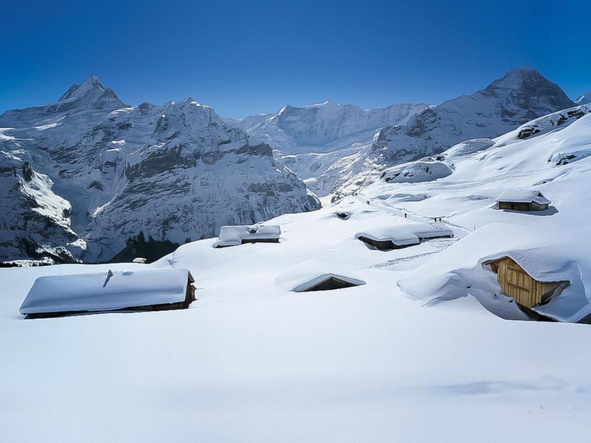 Apartment Chalet Almisgaessli By Interhome Grindelwald Exteriér fotografie